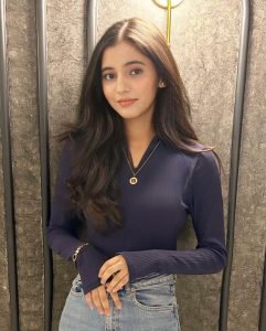 Escorts in Shelton Hotel Blue Area Islamabad